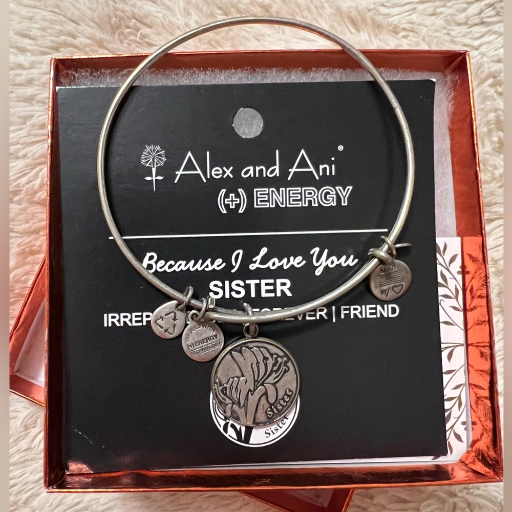 2013 Alex and Ani Sister Bangle